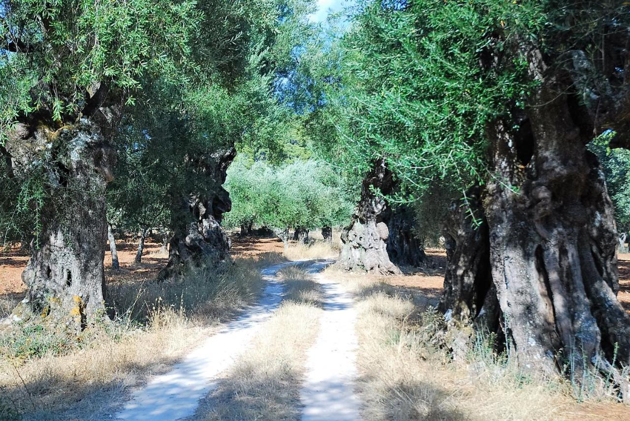 Lejlighed Villasabella *