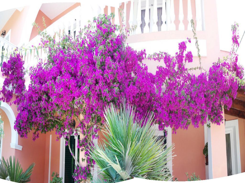 Apartment Villasabella